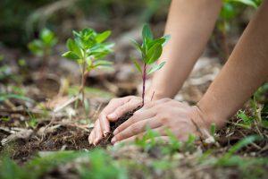 Socially Responsible Investing Doesn't Make Sense - Except When it Does